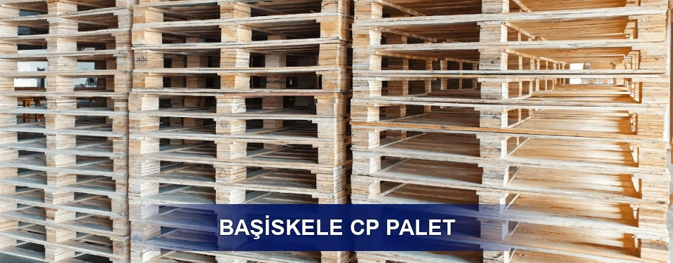 Başiskele Standart Tipler