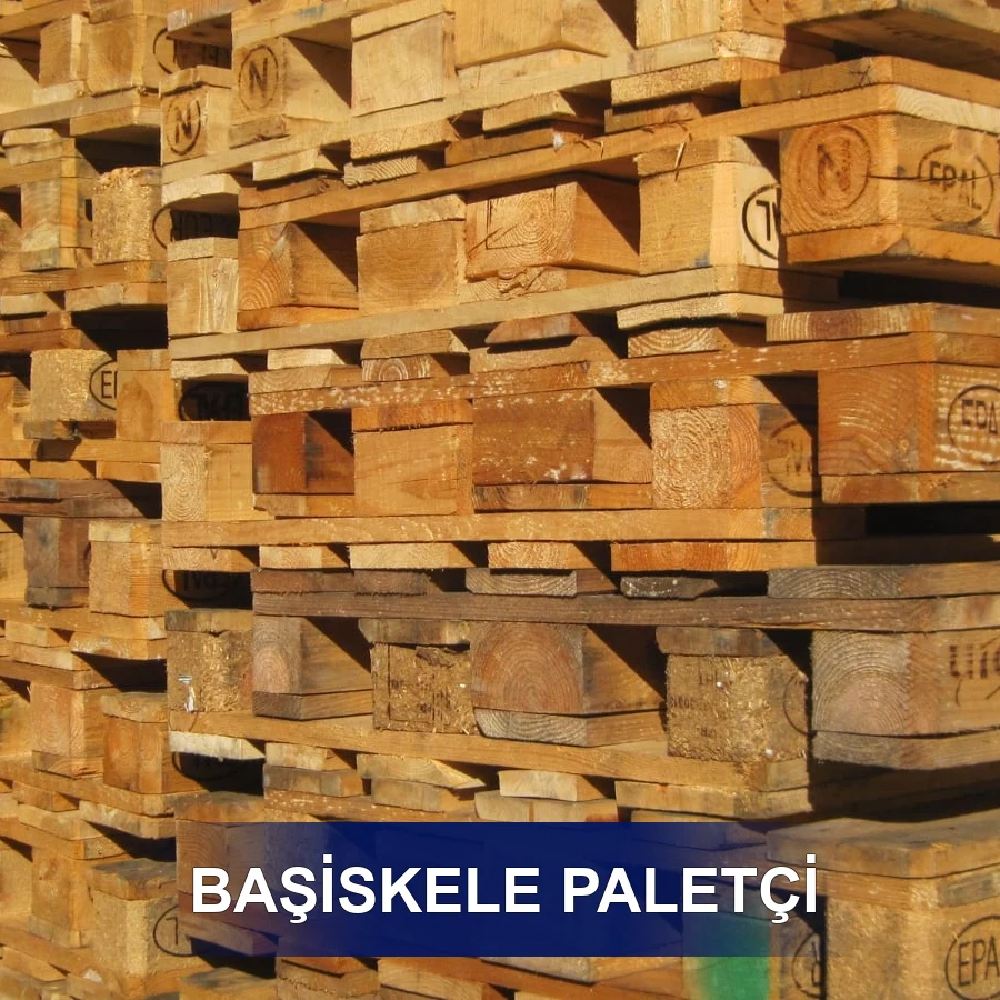 Başiskele Paletçi