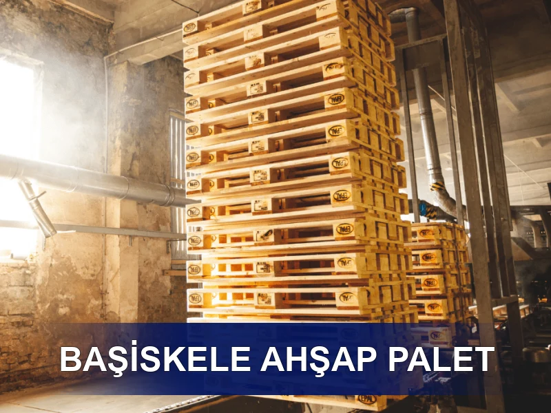 Başiskele Palet Galeri 4