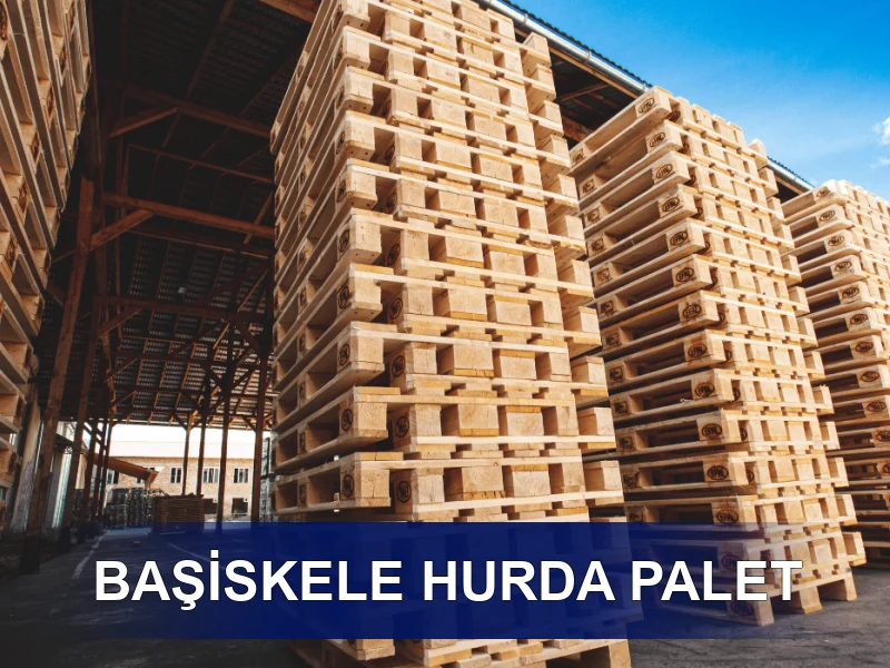 Başiskele Palet Galeri 5