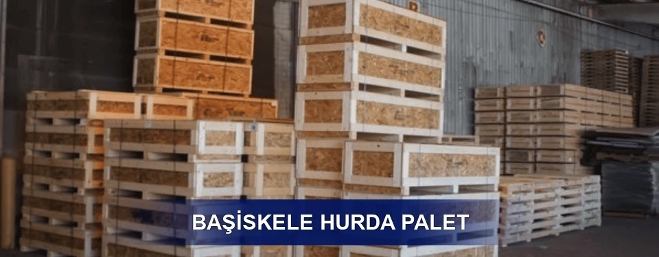 Başiskele Sınıflandırma